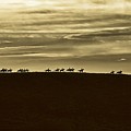 Across The Ridge